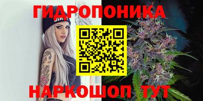 гидропоника Донской