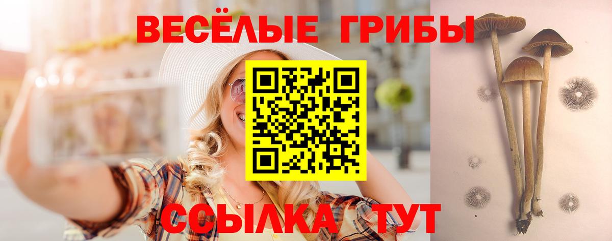 Галлюциногенные грибы Magic Shrooms  Галлюциногенные грибы Cubensis  Медногорск  Вход с VPN 